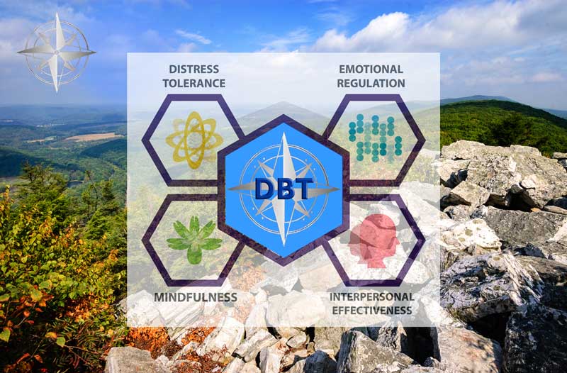 Image related to Dialectical Behavior Therapy services in Berks County, P