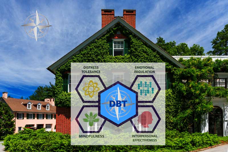 Image related to Dialectical Behavior Therapy services in Chester County, PA