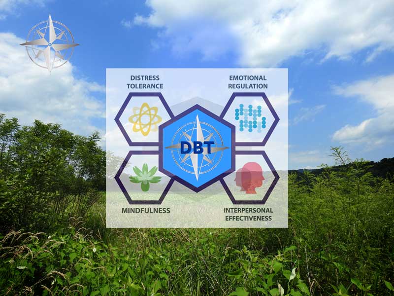 Image related to Dialectical Behavior Therapy services in Dauphin County, PA